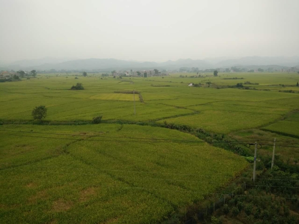 江西泰和“美麗鄉村”生活汙水處理（lǐ）項目